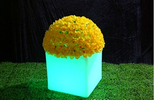 Image de Square flowerpot