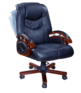 Picture of executive chair