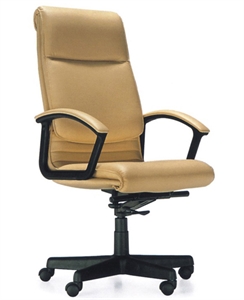 Picture of executive chair