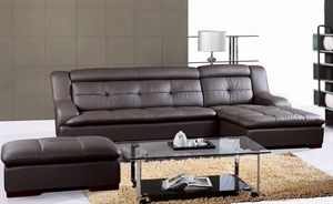 Picture of leather home sofa