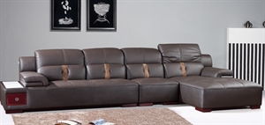 Picture of leather home sofa