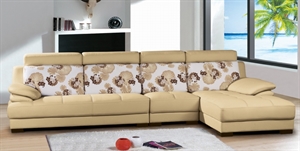 Picture of leather home sofa