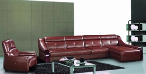 Picture of leather home sofa