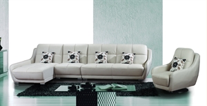 Picture of leather home sofa