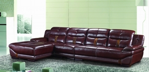 Picture of leather home sofa