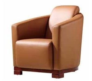 Image de leather sofa chair