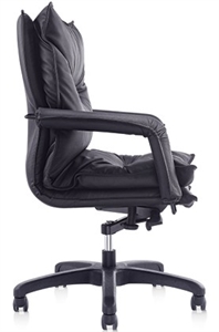 Picture of manager chair