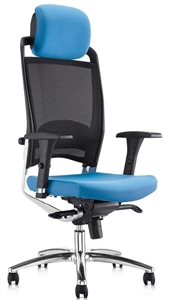 Picture of executive chair