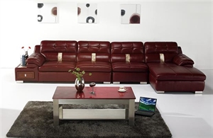 Picture of leather sofa