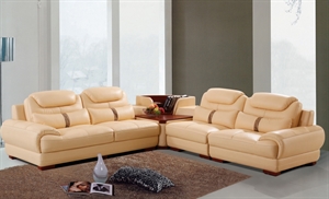 Picture of leather sofa