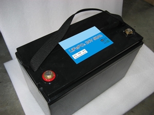 Picture of 24V LiFePO4 Battery Pack