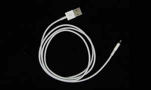 Apple Lightning To USB Cable For iPhone 5 Have On Hand の画像