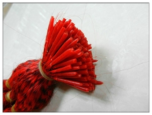 Image de colorful and different kinds of Feather ,real feather ostrich feather