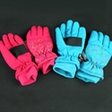 Picture of ski glove
