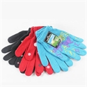 Image de Fashion Gloves