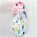 Picture of Venus(pig dog bear toy)