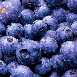 Picture of Frozen Blueberry