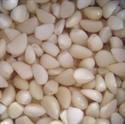 Image de Garlic in Brine