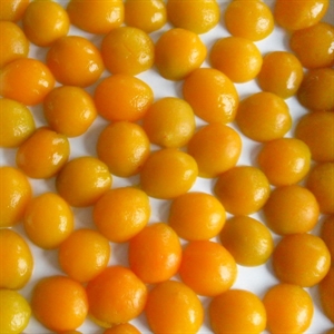 Picture of Canned Apricot