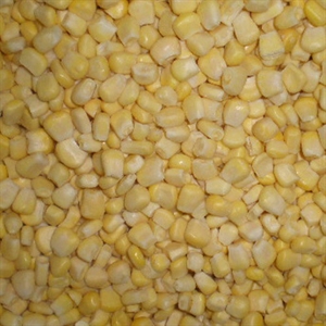 Picture of Frozen sweet corn