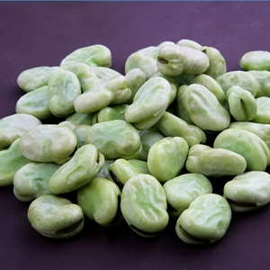 Picture of Broad bean