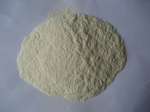 Picture of Dehydrated garlic powder