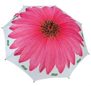 Picture of 23inchX8K wooden straight follower umbrella