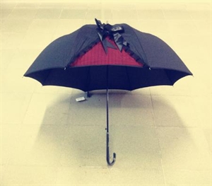 Picture of high fashion umbrella for ladies