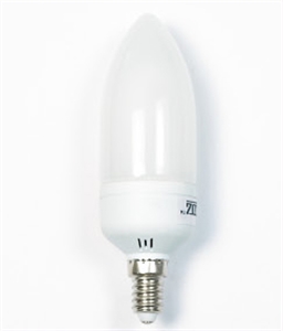 Picture of LIGHT BULB