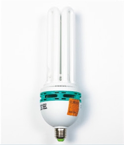 Picture of LIGHT BULB