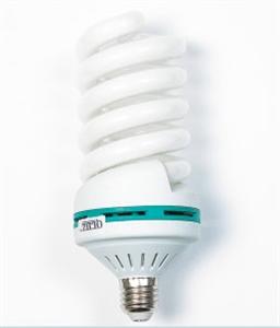 Picture of LIGHT BULB