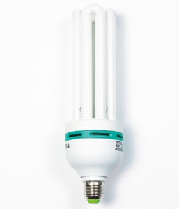 Picture of LIGHT BULB