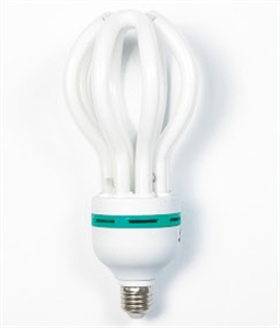 Picture of LIGHT BULB