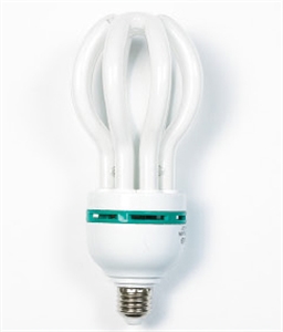 Picture of LIGHT BULB