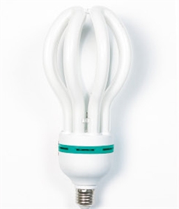 Picture of LIGHT BULB