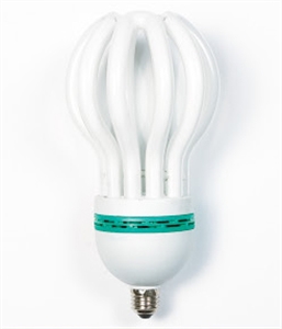 Image de LIGHT BULB