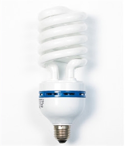 Picture of LIGHT BULB