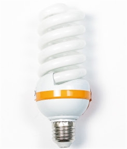 Picture of LIGHT BULB