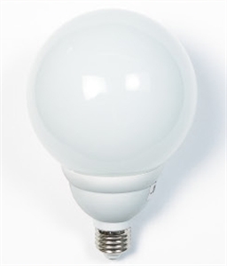 Picture of LIGHT BULB