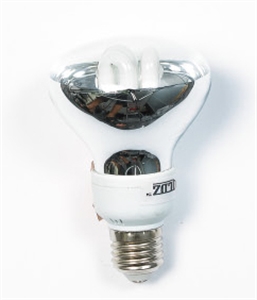 Image de LIGHT BULB