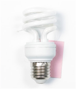 Picture of LIGHT BULB