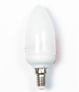 Picture of LIGHT BULB