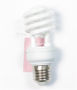 Picture of LIGHT BULB