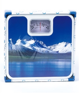 Picture of WEIGHING SCALE