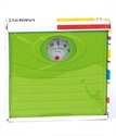 Picture of WEIGHING SCALE