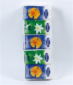 Image de NAPKIN 10PK