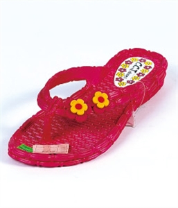 Picture of SLIPPER