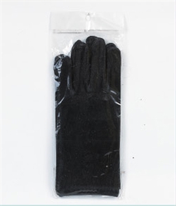 Picture of GLOVES