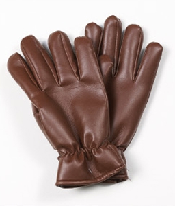 Picture of GLOVE