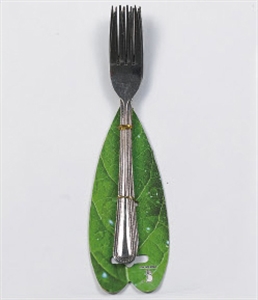 Picture of 6pcs 18cm tableware